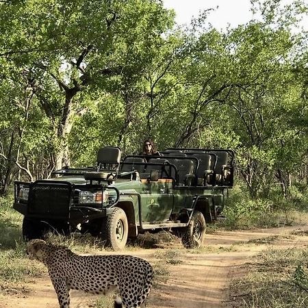 Karongwe Portfolio- Shiduli Private Game Lodge Karongwe Game Reserve Εξωτερικό φωτογραφία