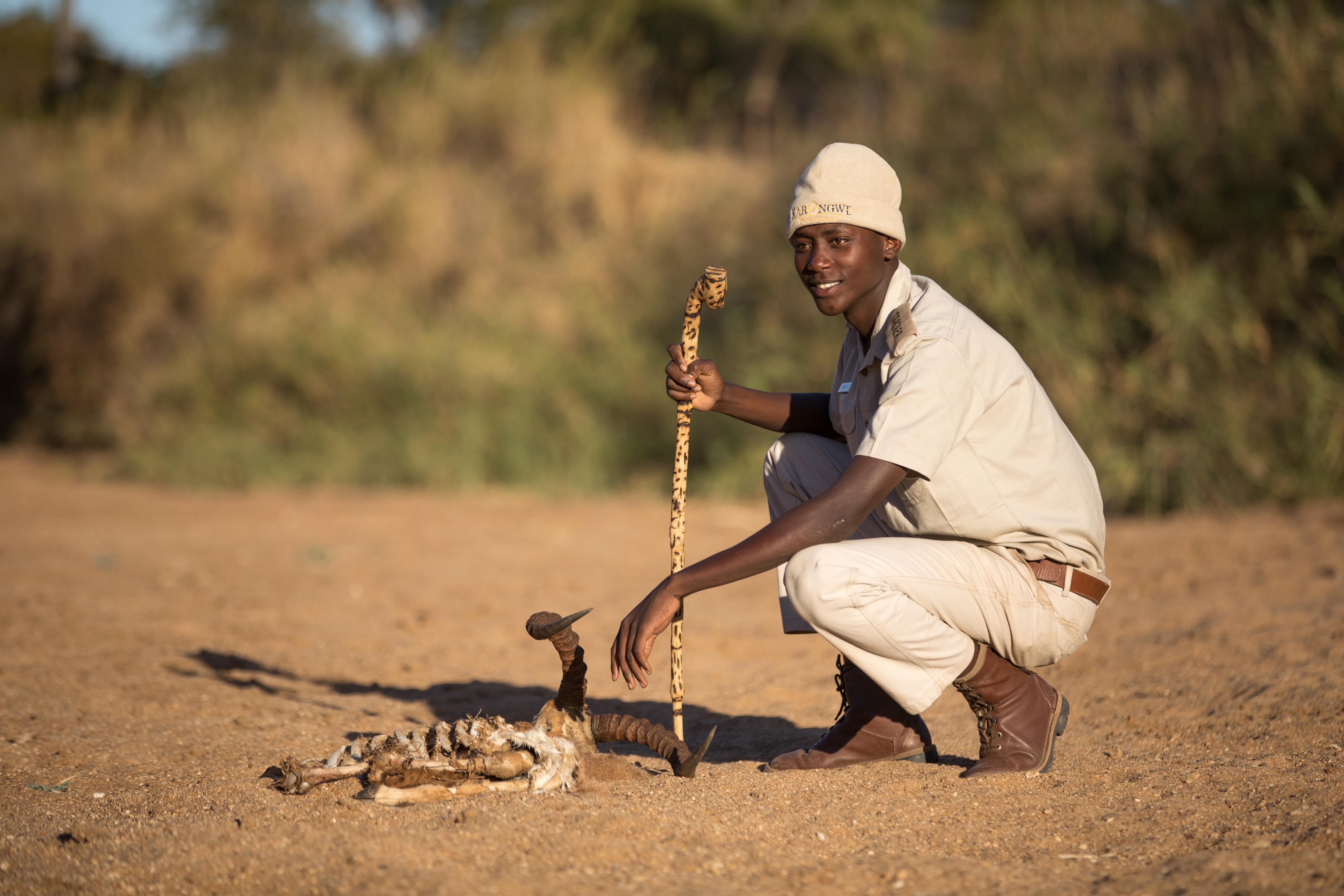 Karongwe Portfolio- Shiduli Private Game Lodge Karongwe Game Reserve Εξωτερικό φωτογραφία