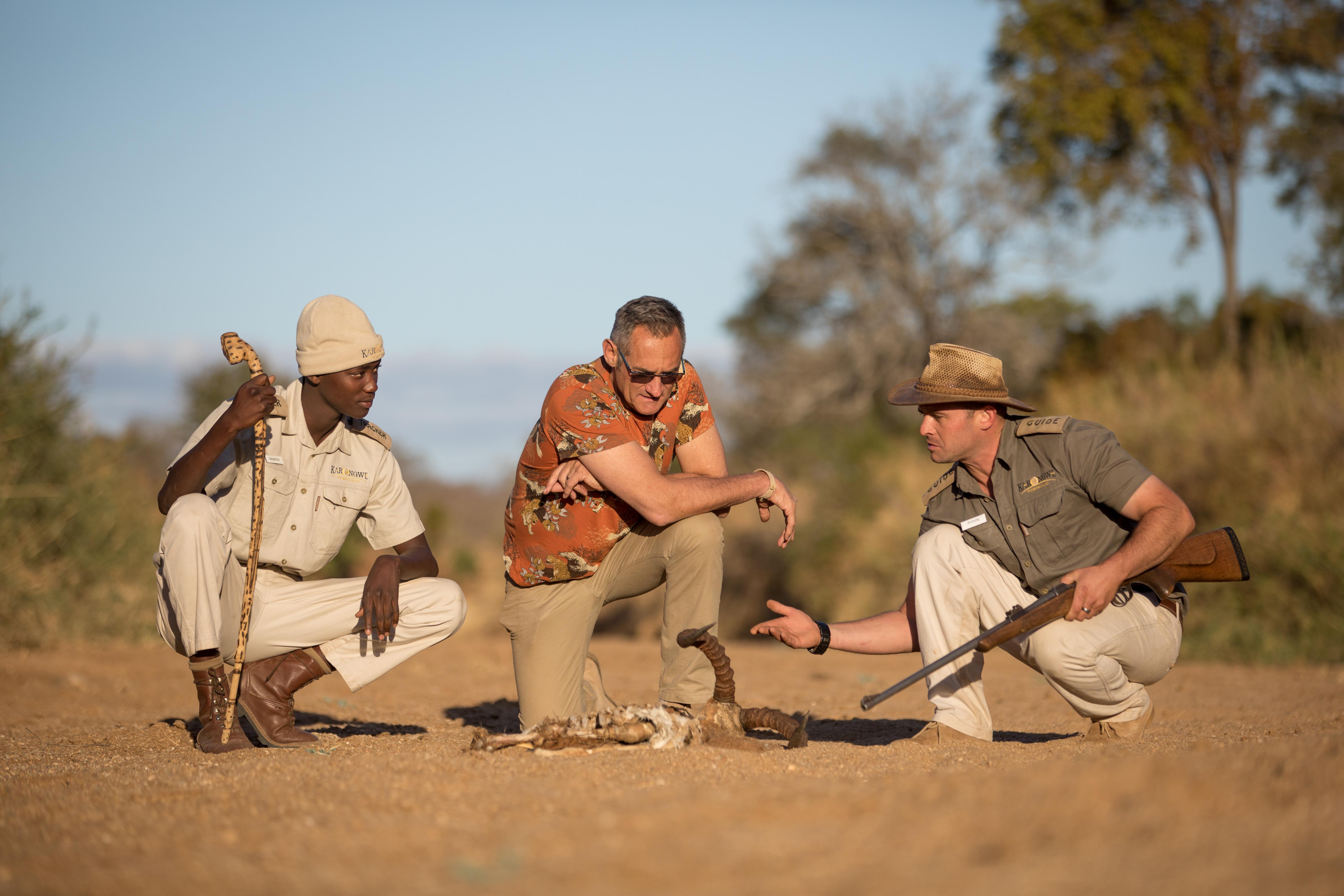 Karongwe Portfolio- Shiduli Private Game Lodge Karongwe Game Reserve Εξωτερικό φωτογραφία