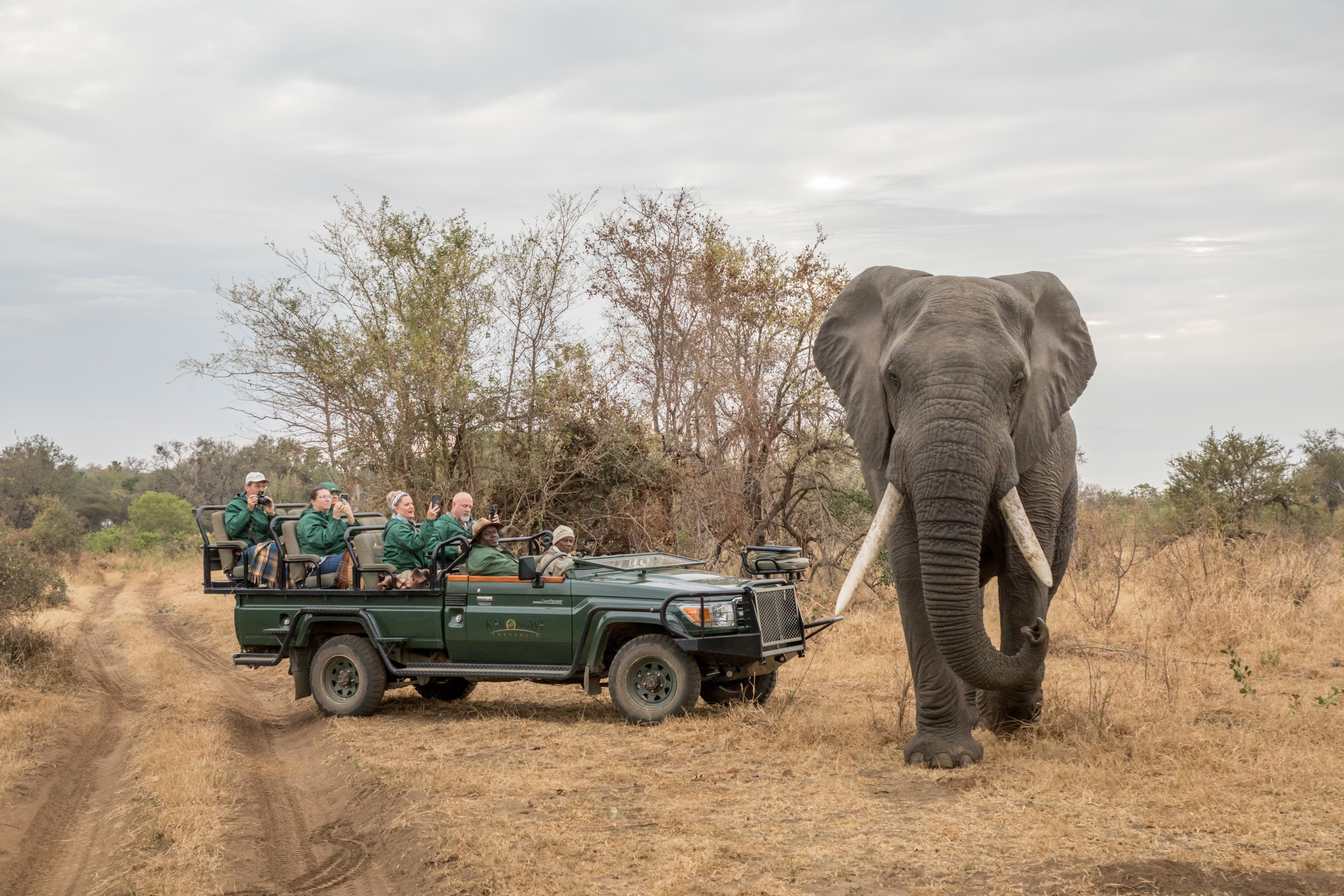 Karongwe Portfolio- Shiduli Private Game Lodge Karongwe Game Reserve Εξωτερικό φωτογραφία
