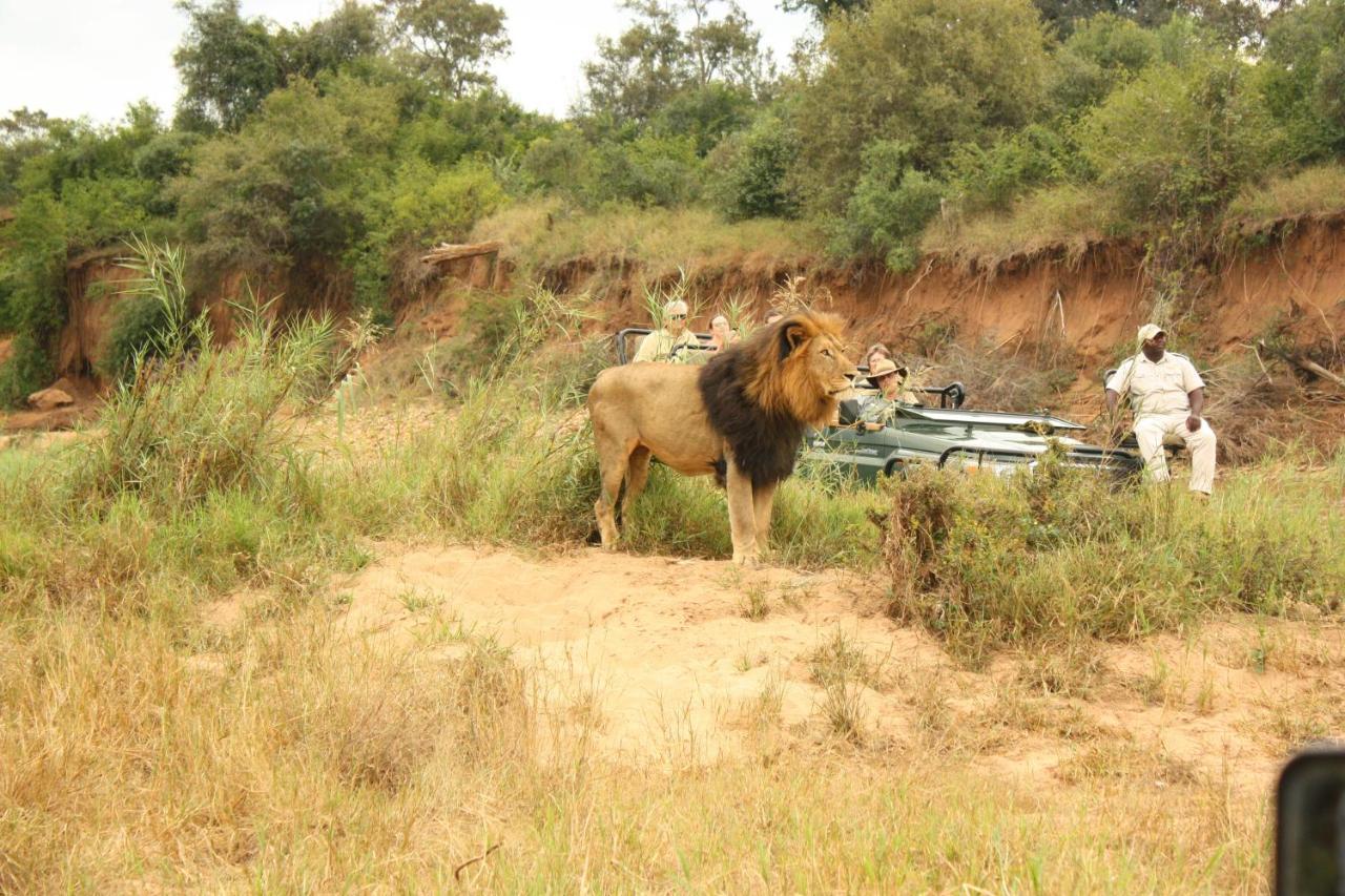 Karongwe Portfolio- Shiduli Private Game Lodge Karongwe Game Reserve Εξωτερικό φωτογραφία