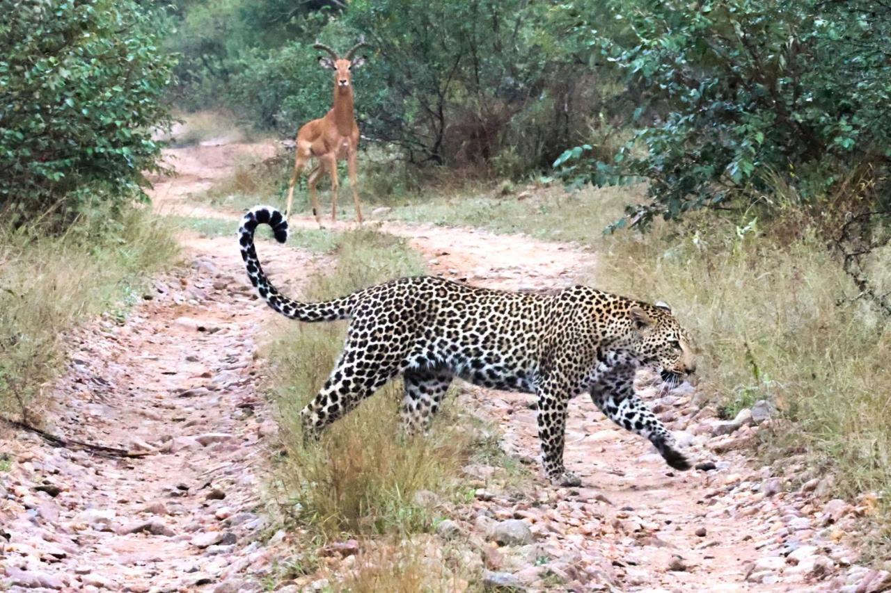 Karongwe Portfolio- Shiduli Private Game Lodge Karongwe Game Reserve Εξωτερικό φωτογραφία