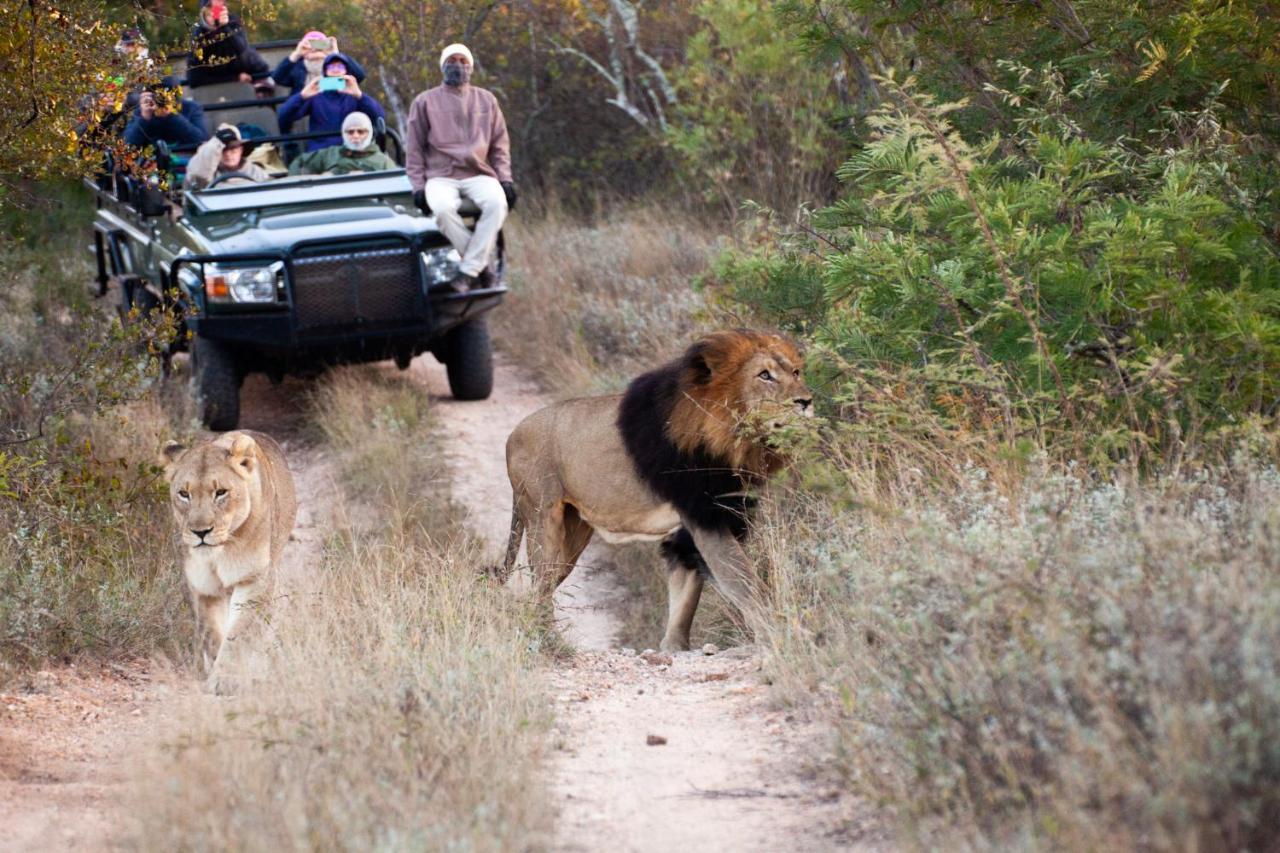 Karongwe Portfolio- Shiduli Private Game Lodge Karongwe Game Reserve Εξωτερικό φωτογραφία