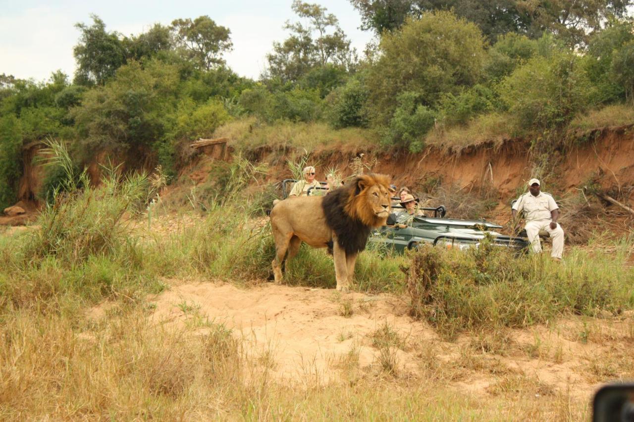 Karongwe Portfolio- Shiduli Private Game Lodge Karongwe Game Reserve Εξωτερικό φωτογραφία