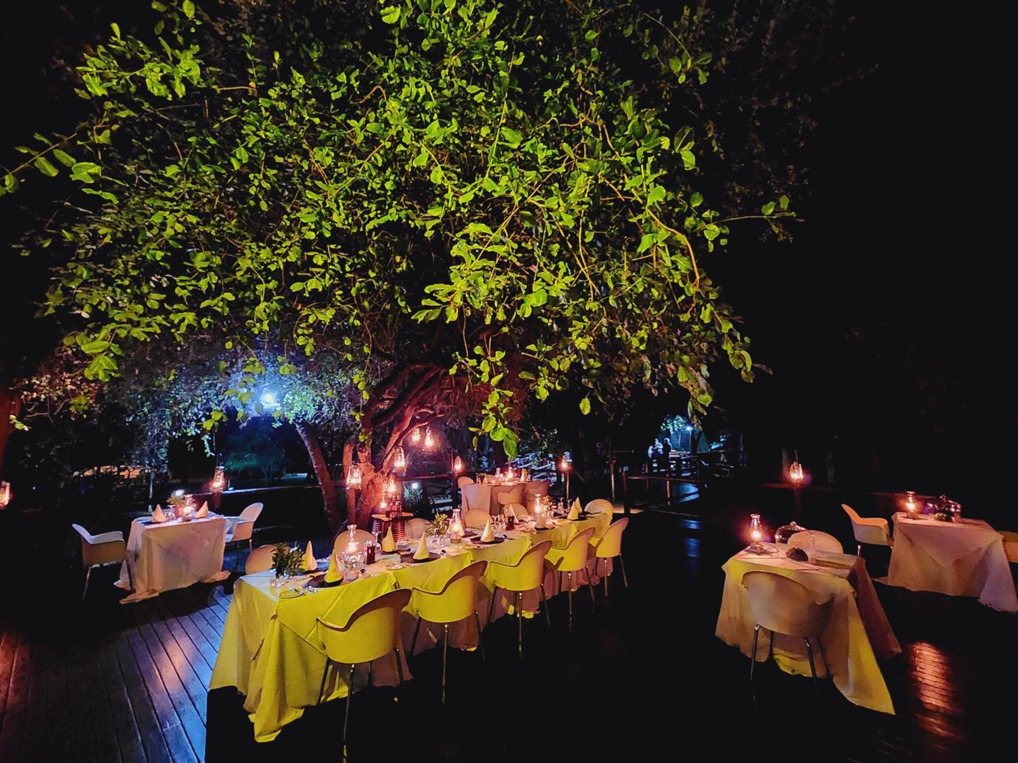 Karongwe Portfolio- Shiduli Private Game Lodge Karongwe Game Reserve Εξωτερικό φωτογραφία