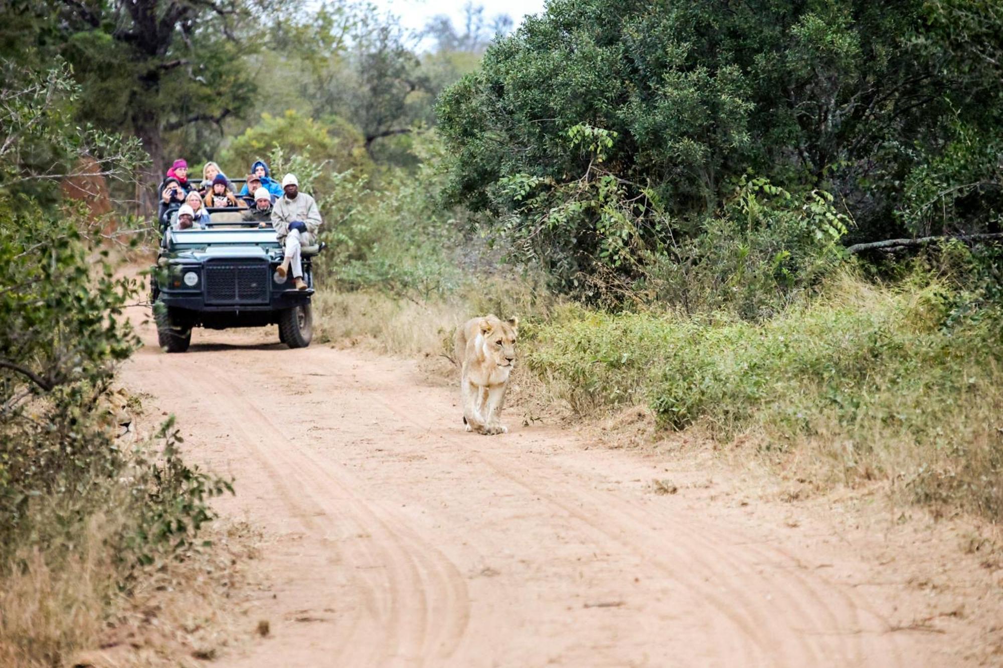 Karongwe Portfolio- Shiduli Private Game Lodge Karongwe Game Reserve Εξωτερικό φωτογραφία