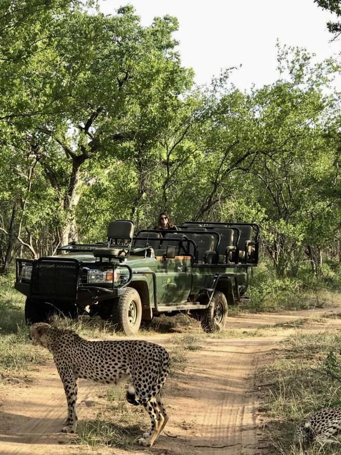 Karongwe Portfolio- Shiduli Private Game Lodge Karongwe Game Reserve Εξωτερικό φωτογραφία